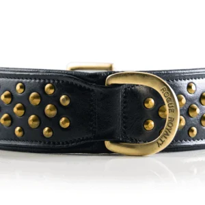 Black & Brass Leather Dog Collar - Rogue "RuffNeck"