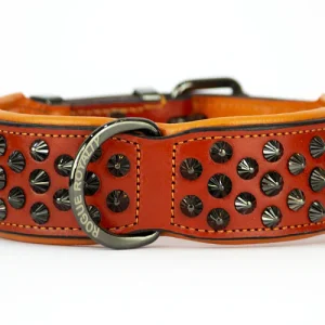 Dog Collar - Ruthless Orange & Black (Wide Fit)