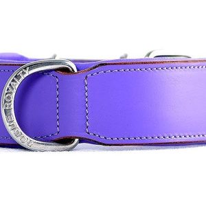 Leather Dog Collar - Classic Purple