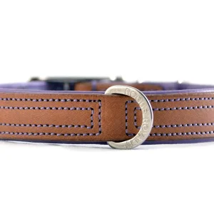 Dog Collar - Tuscan Rogue Tan|Purple NIET RUILEN ARTIKEL